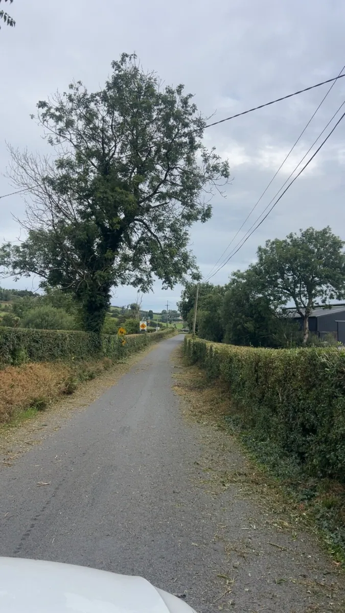Hedge cutting - Image 3