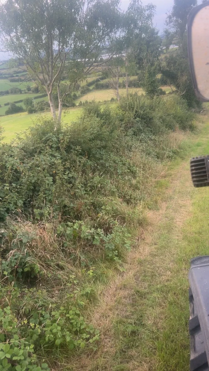 Hedge cutting - Image 4