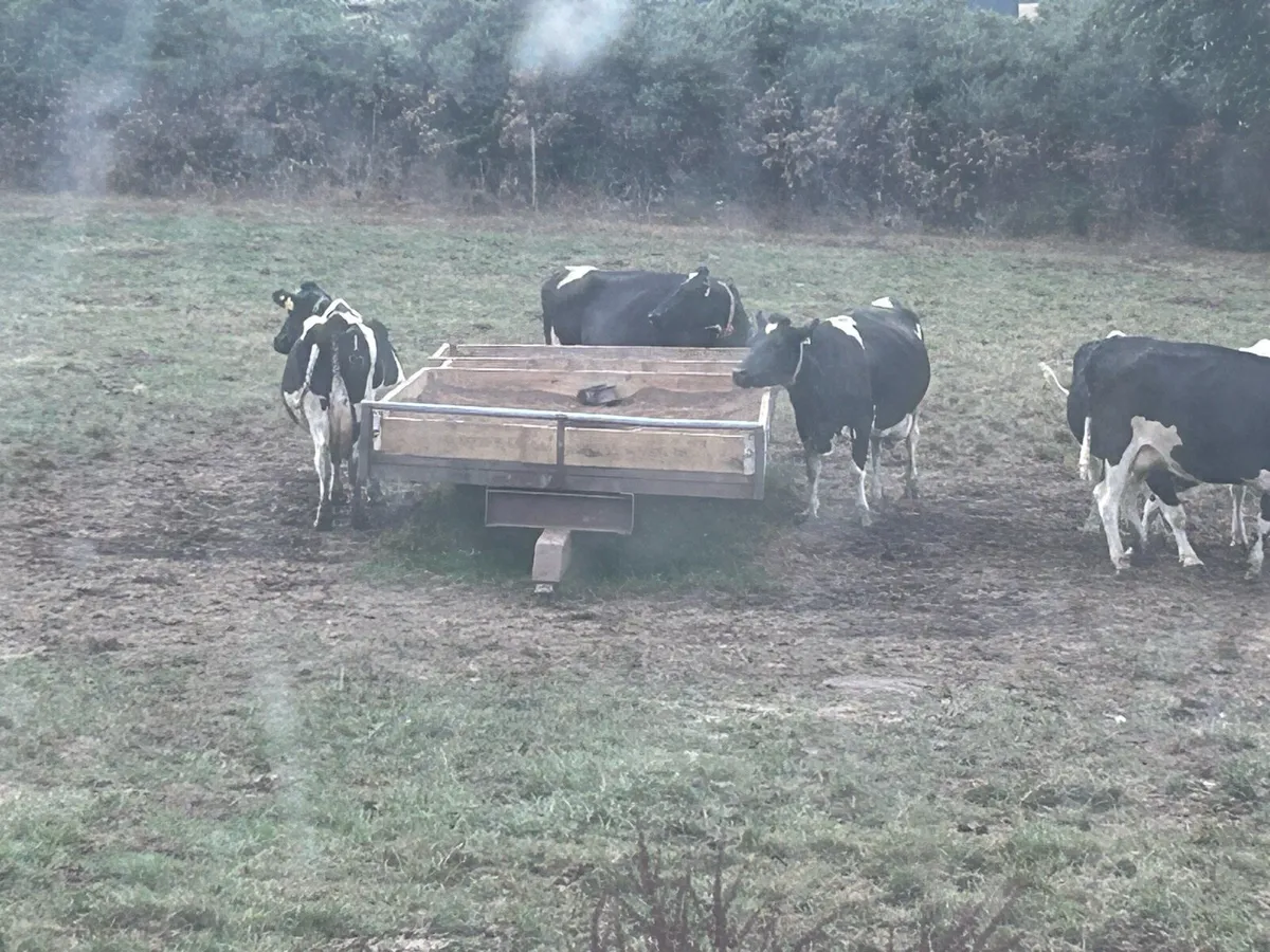 Feed trailer - Image 2