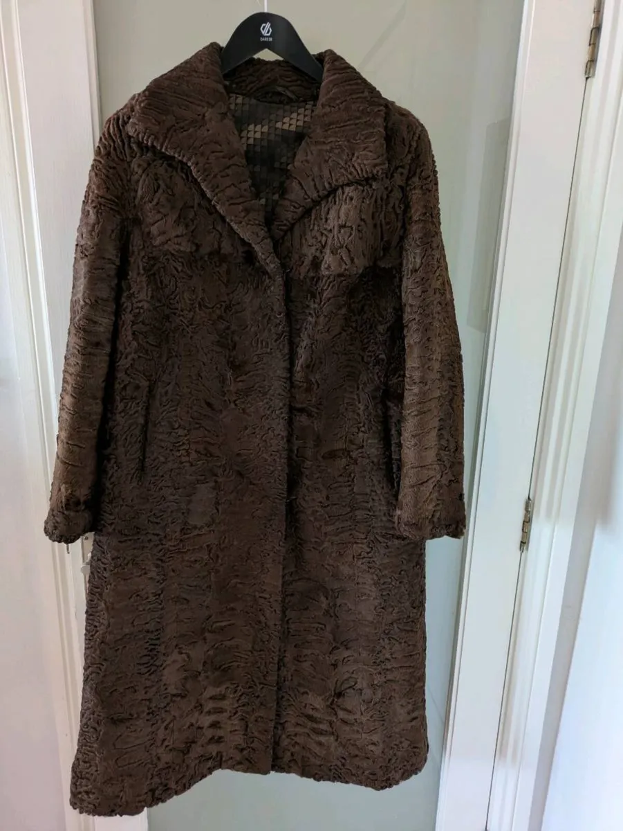 Vintage Fur Coat - Image 1