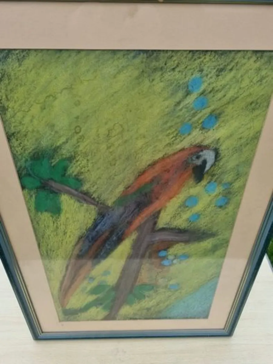 John Gallagher parrot pastel - Image 2