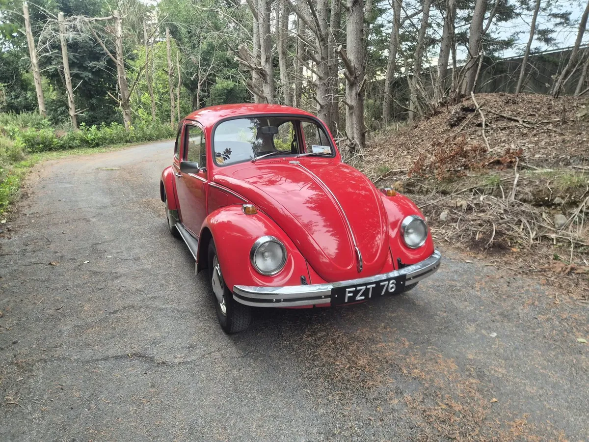 1971 VW Bettle - Image 4