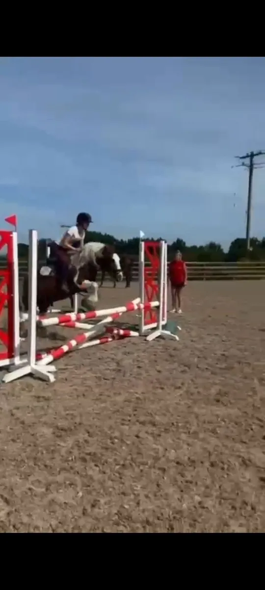 Pony for sale - Image 1