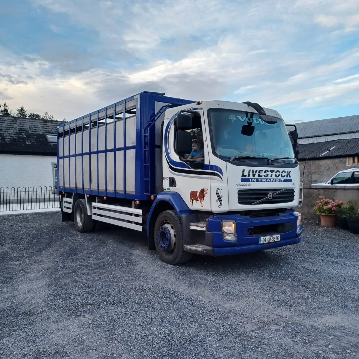 Volvo 240 cattle truck - Image 2