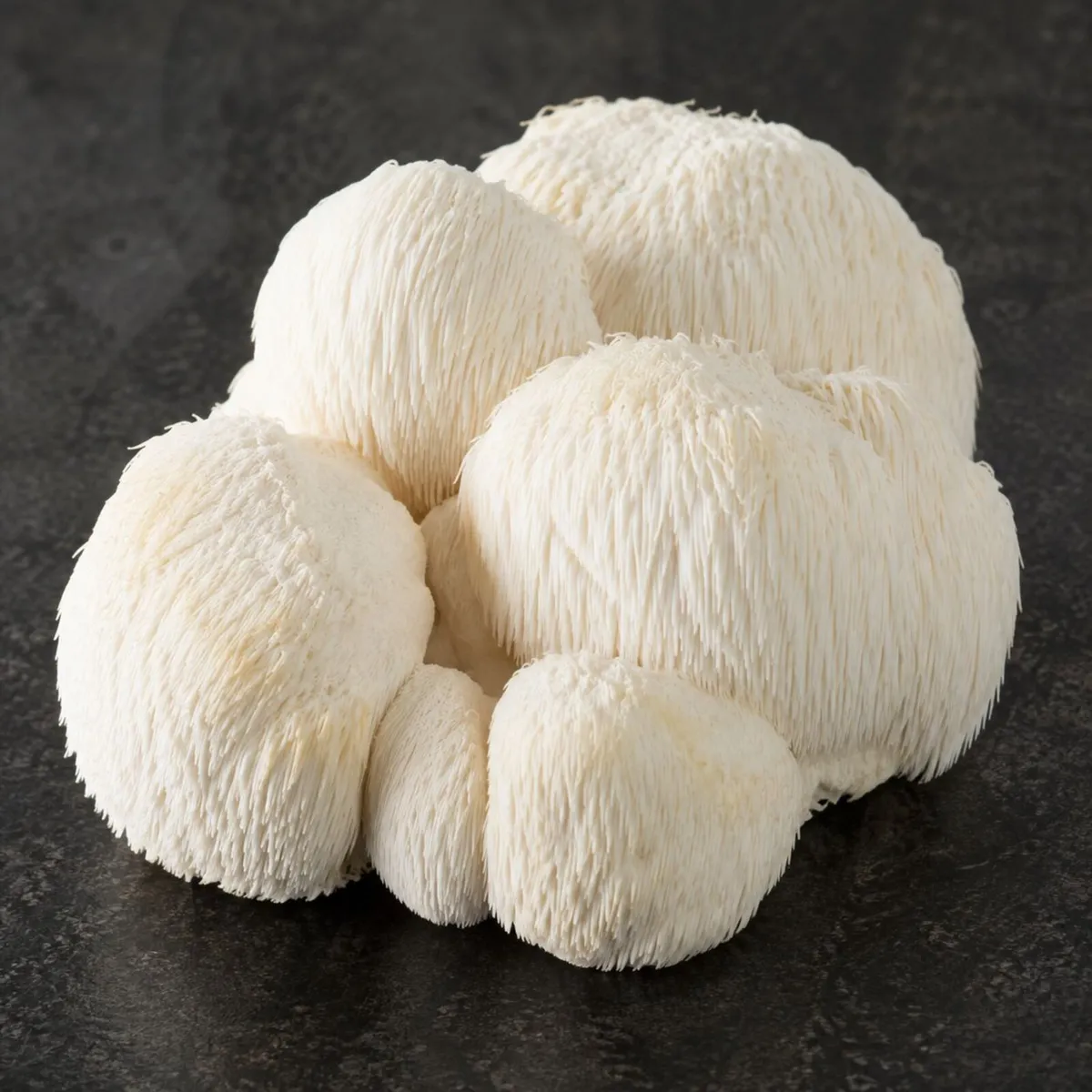 “Mushroom Liquid Cultures | Lions Mane, Oyster - Image 3