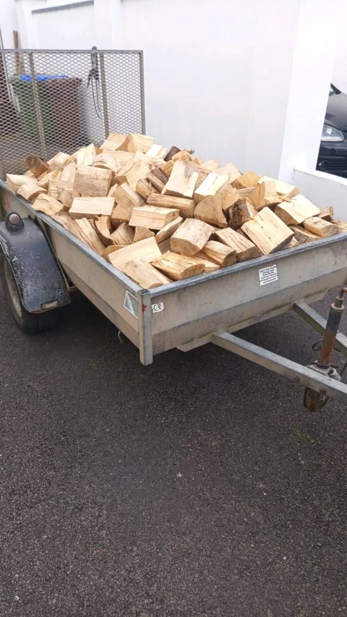 Firewood - Image 2