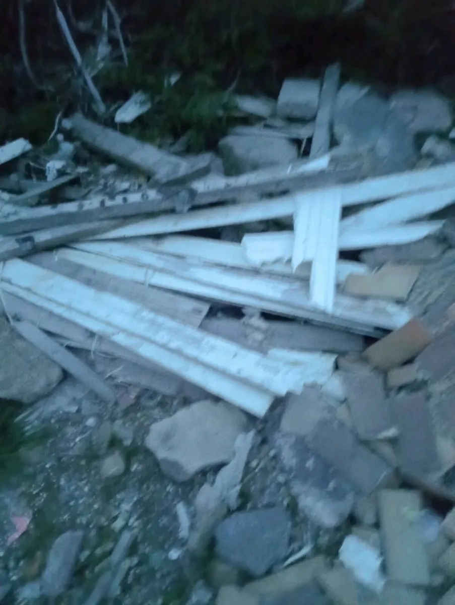 Timber for sale - Image 3