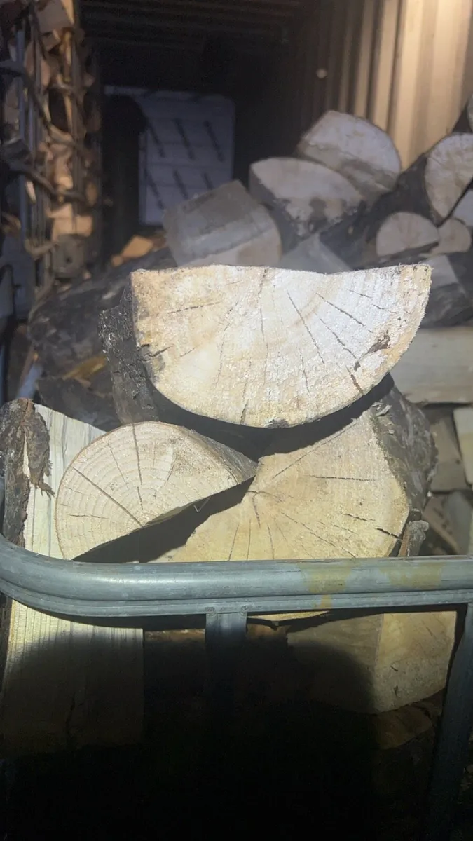 Firewood - Image 4
