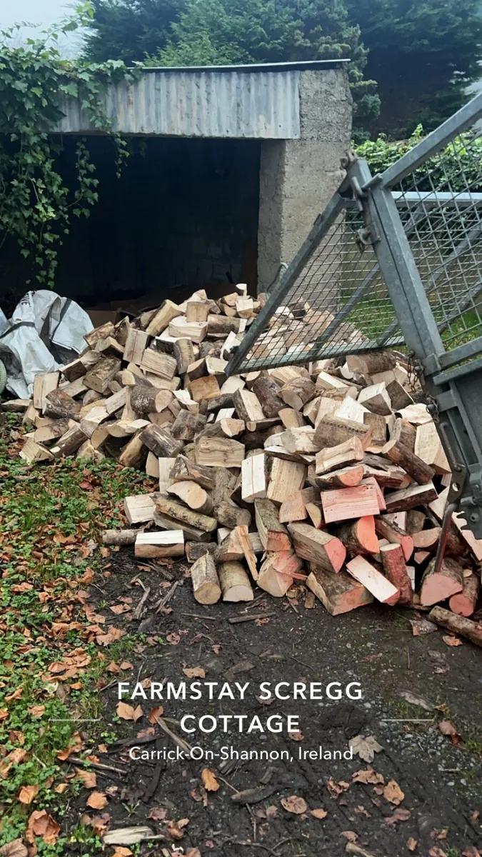 Firewood - Image 2