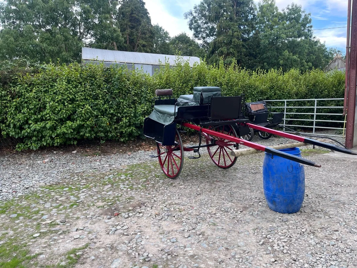Traditional Irish jaunting car - Image 2