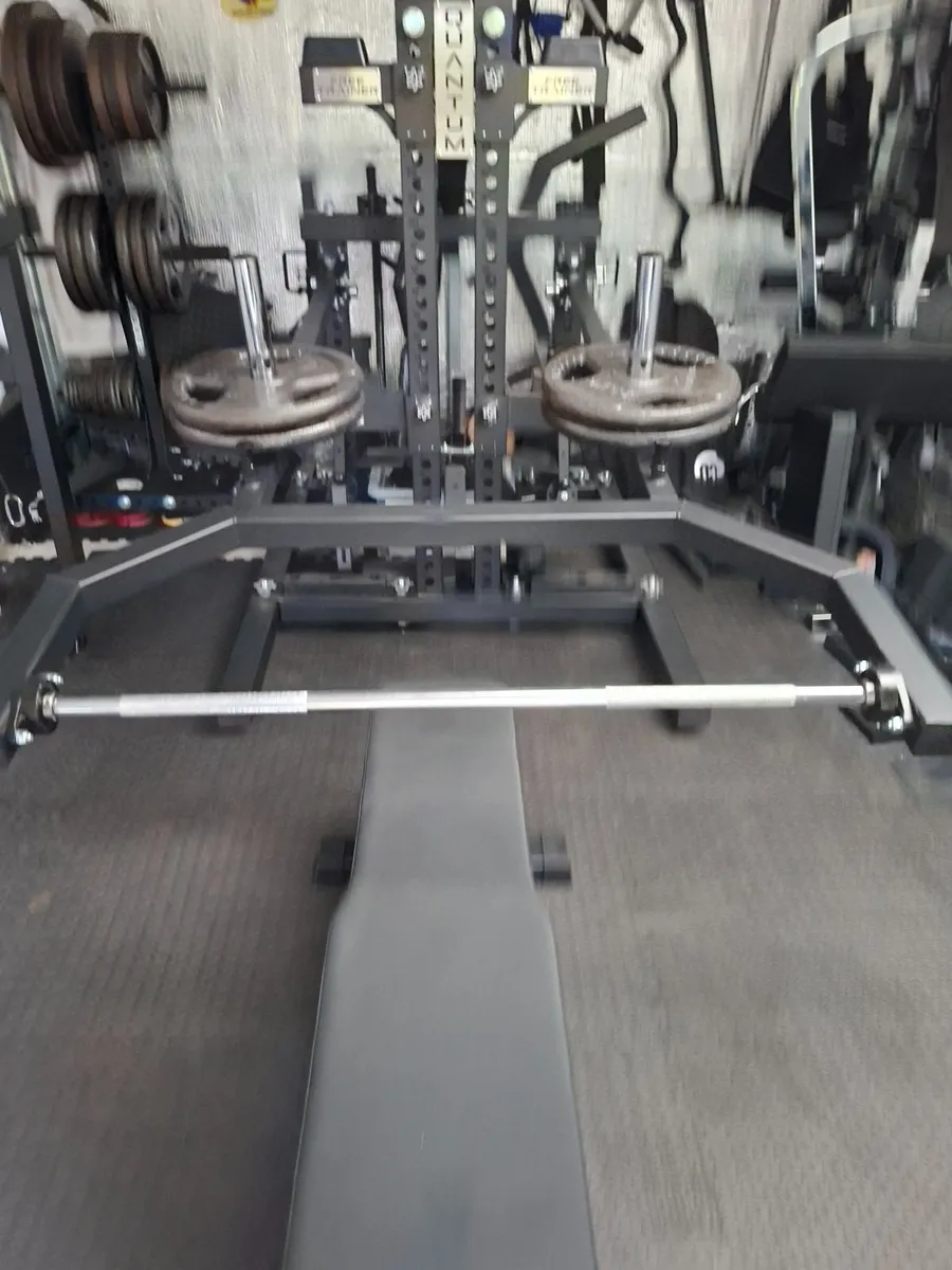 quantum free trainer - Image 3