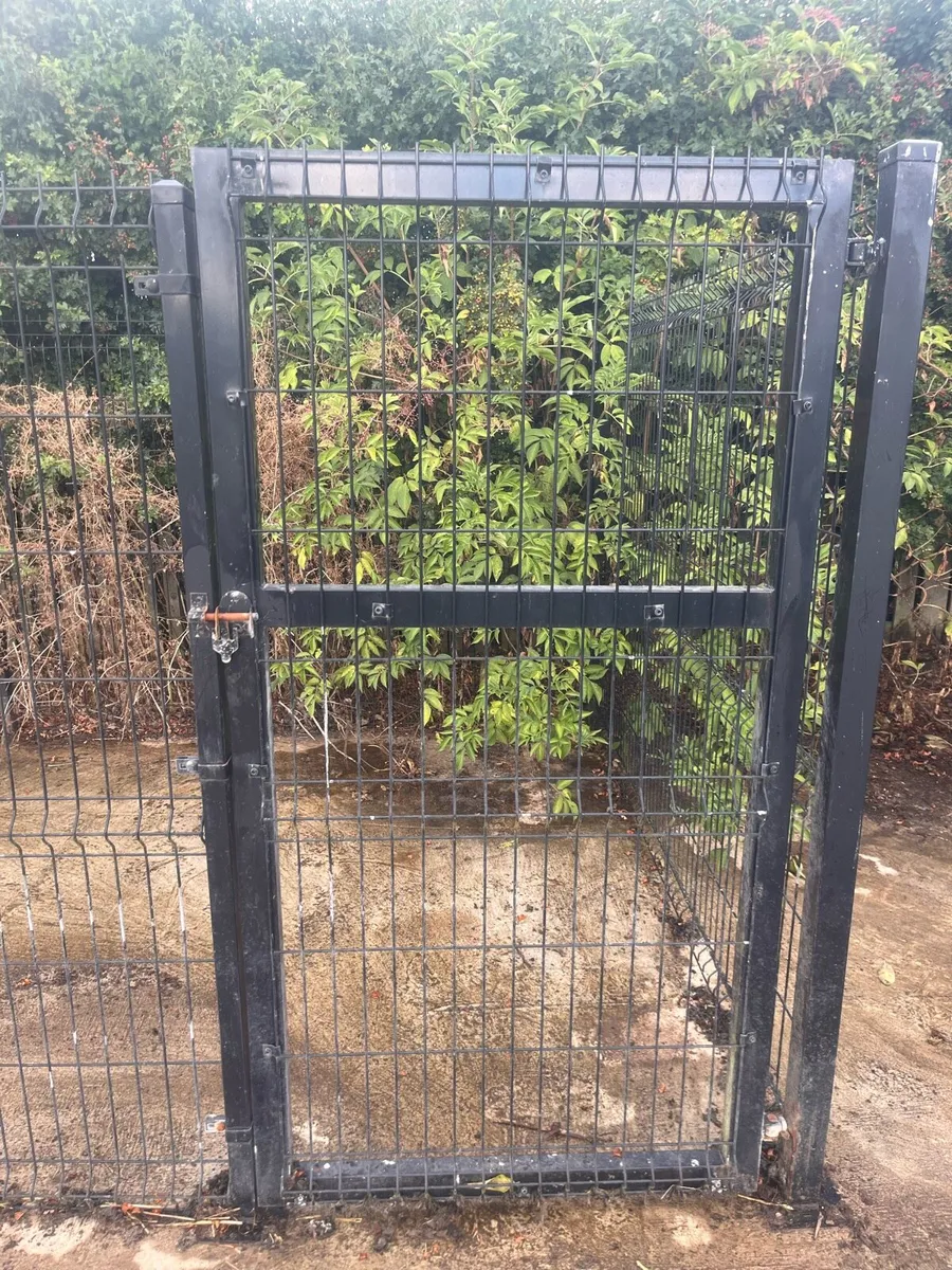 Dog run - Image 3