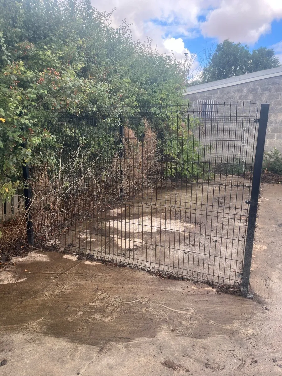 Dog run - Image 2