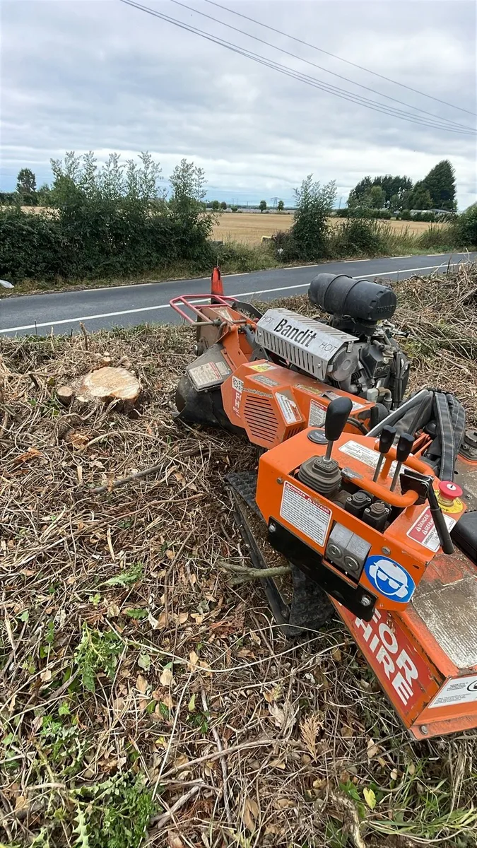 Stump grinding - Image 2