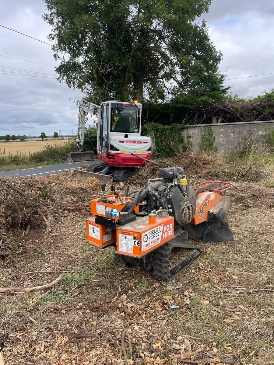 Stump grinding - Image 3