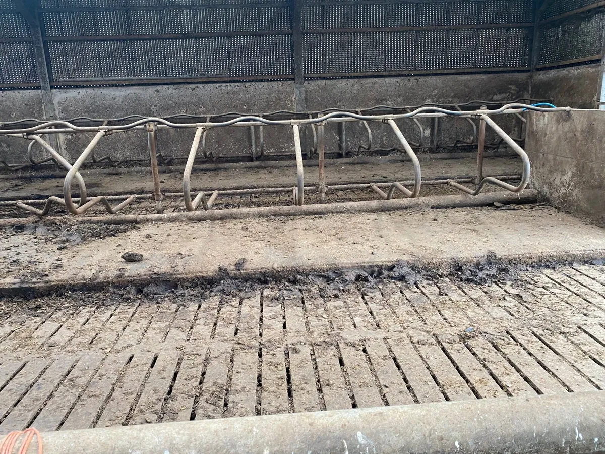 Cubicle beds - Image 3