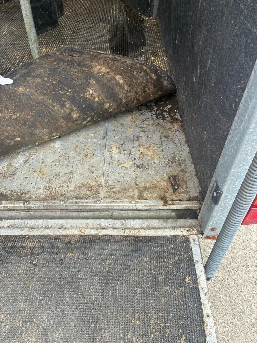 Horsebox - Image 3