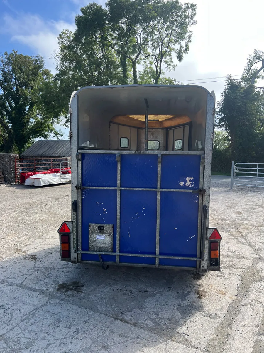 Ifor Williams HorseBox - Image 3