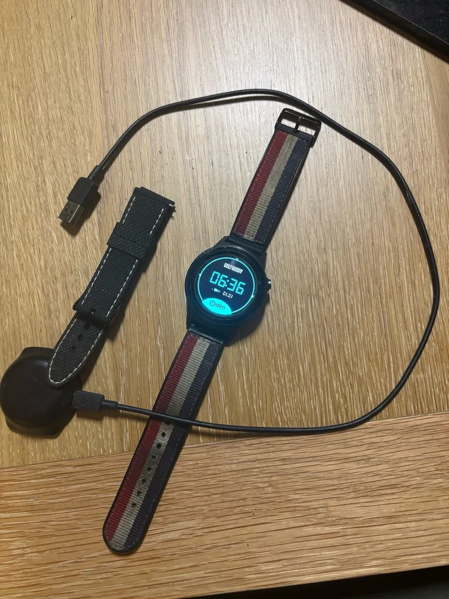 Golf Buddy Watch