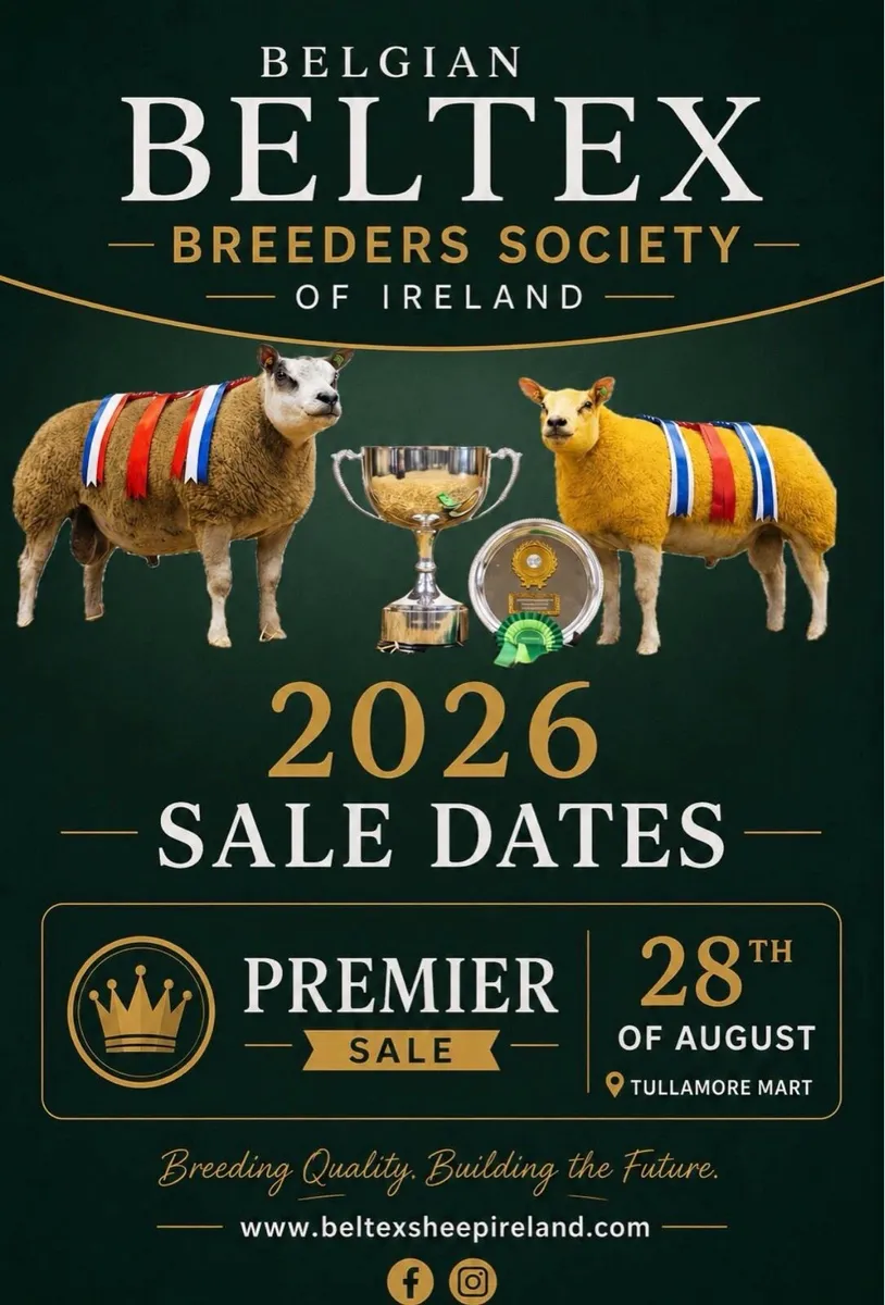 Beltex Premier Show and Sale 2026 - Image 1