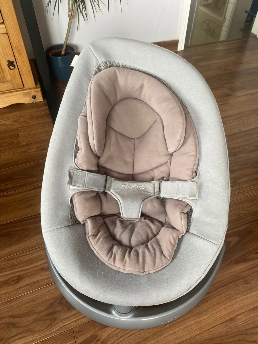 Nuna swinging baby chair