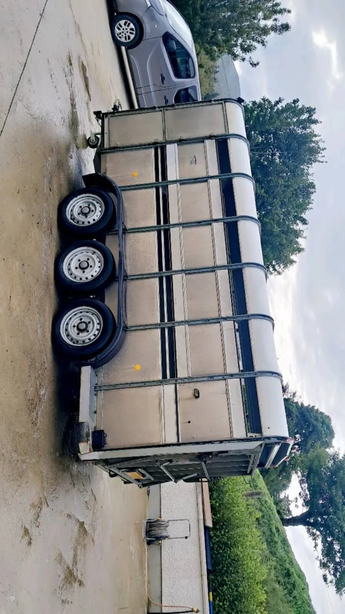 Ifor williams 14ft cattle trailer with decks - Image 2