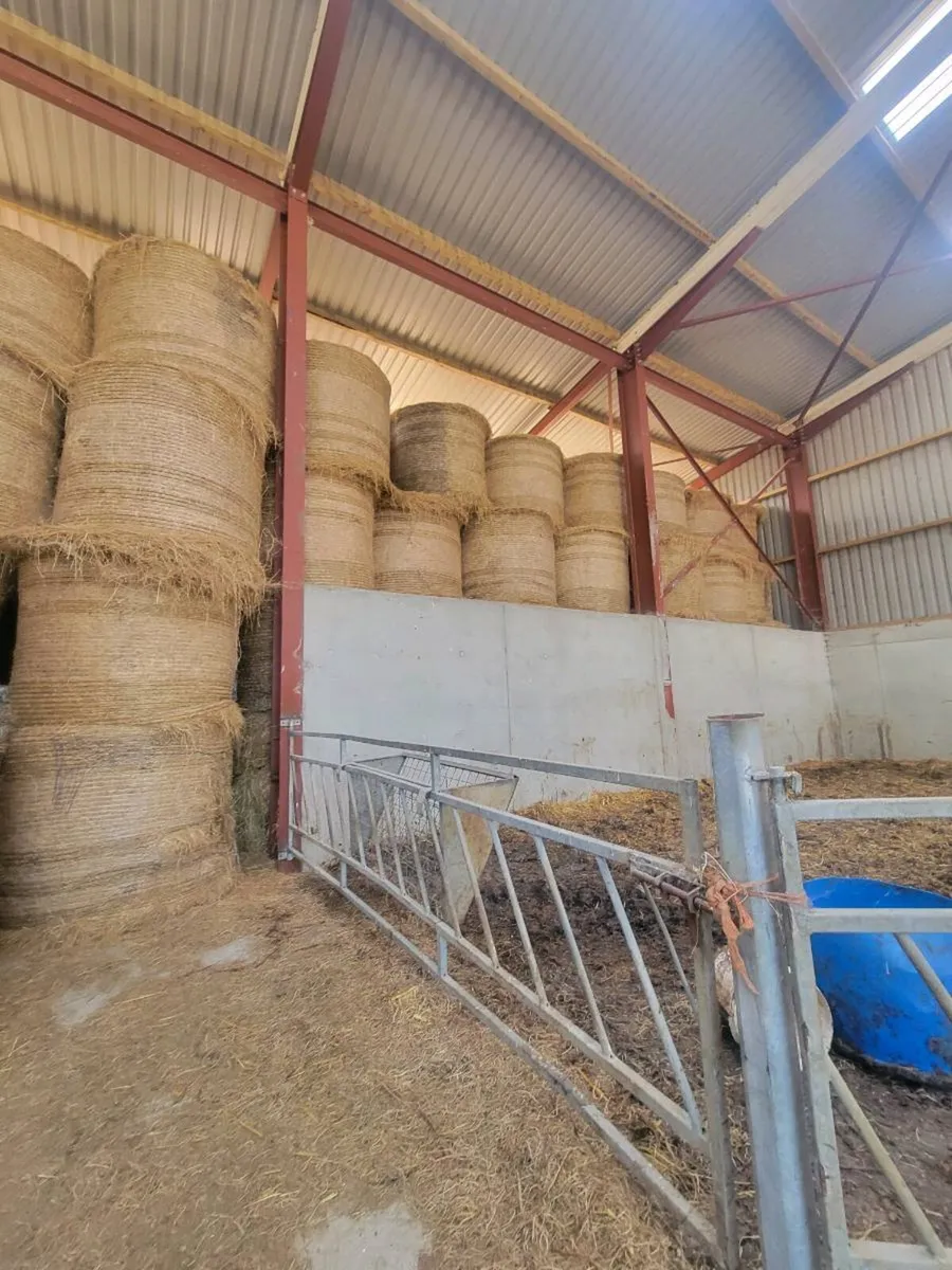 300 bales of Hay - Image 2