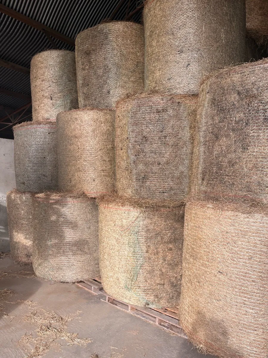 Hay for sale