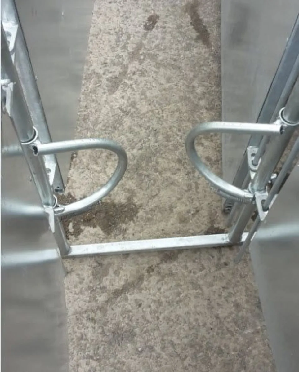 Antibacking spring  gate - Image 4