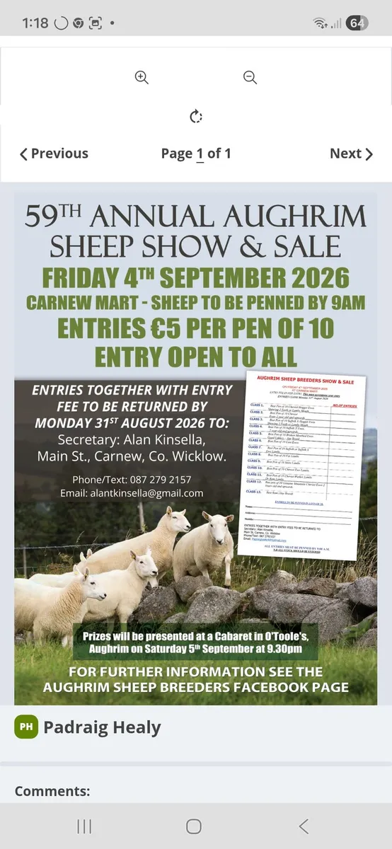 Aughrim Sheep Breeders Show and Sale