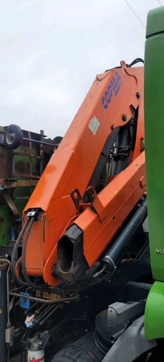 Copma 3000 crane - Image 1
