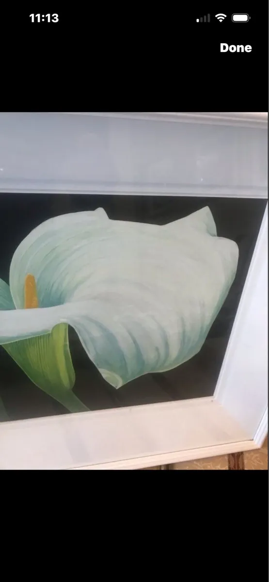Arum Lily- Nicola Lynch Morrin - Image 4