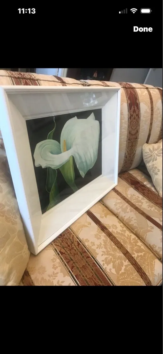 Arum Lily- Nicola Lynch Morrin - Image 1