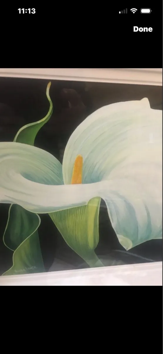 Arum Lily- Nicola Lynch Morrin - Image 3