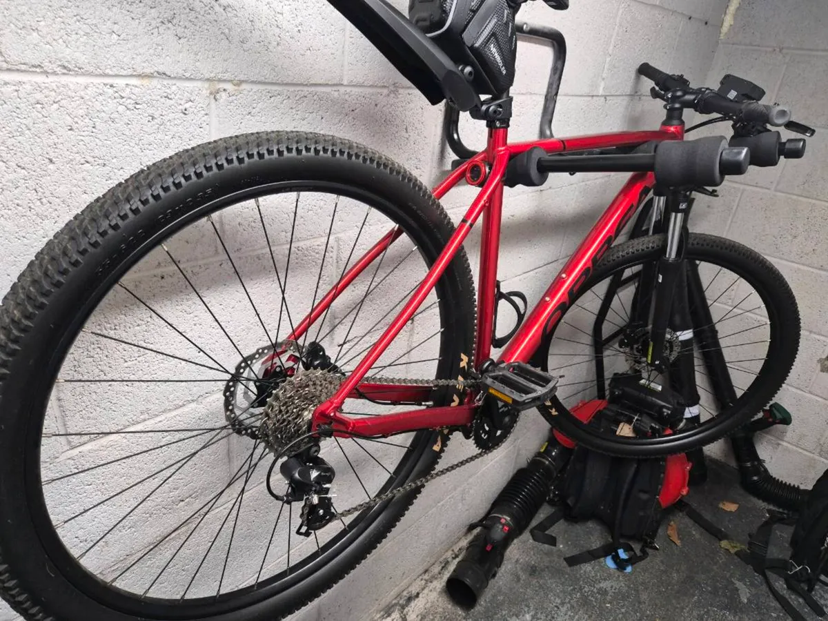 BARGAIN BIKE - Image 1
