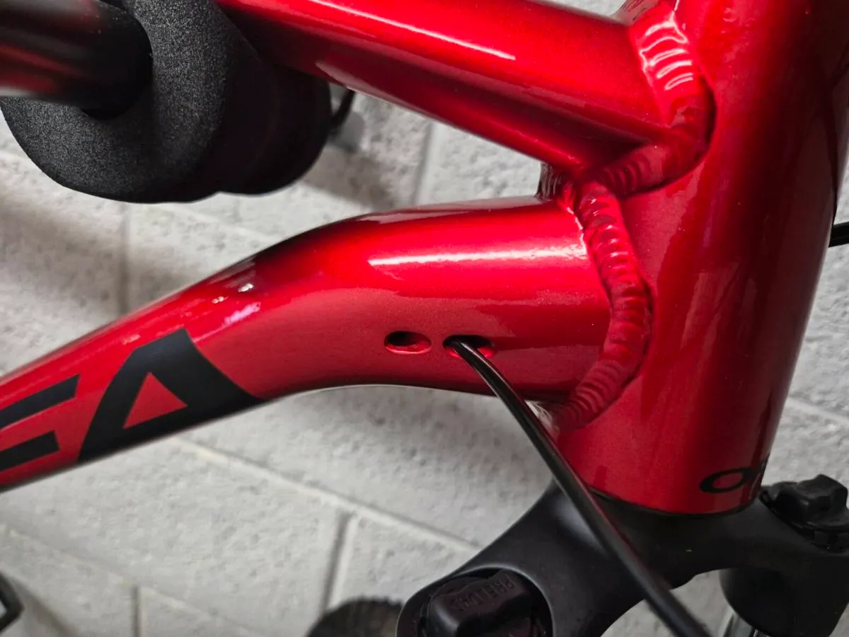 BARGAIN BIKE - Image 4