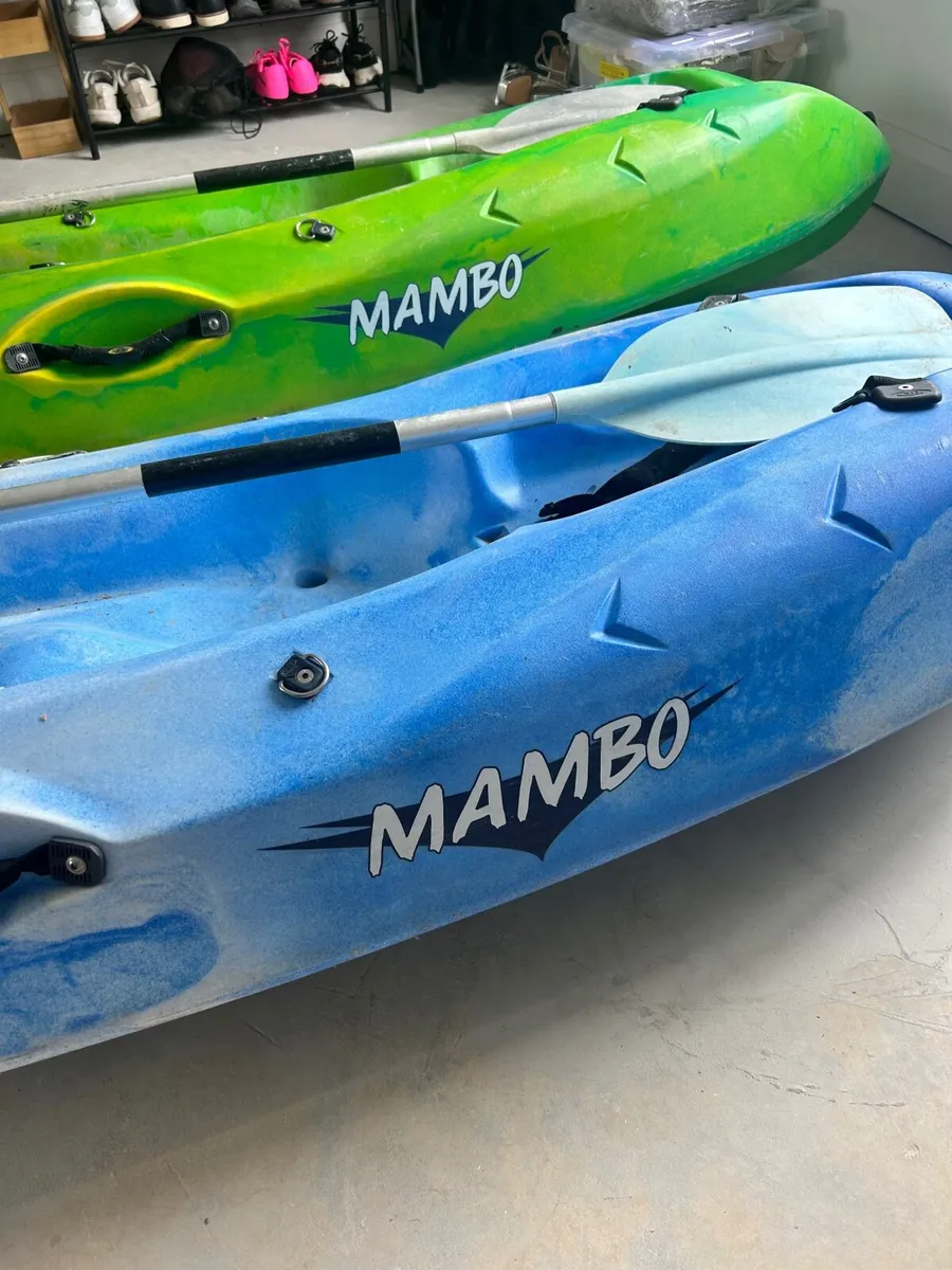Kayaks - Image 2