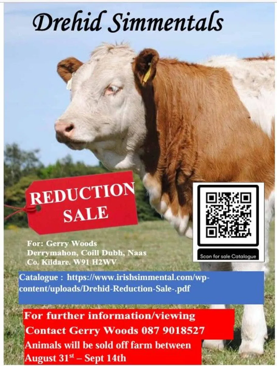 Reduction sale - Image 1