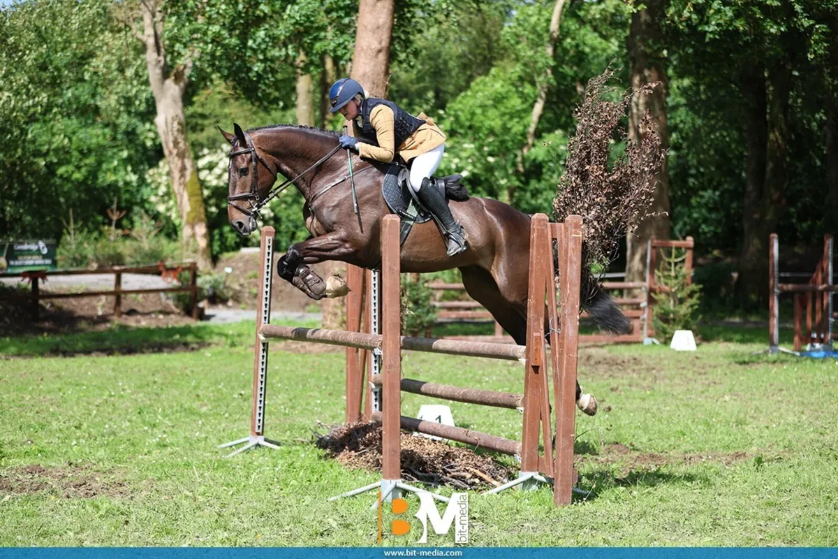 ⭐️Talented Competition Prospect ⭐️ - Image 4