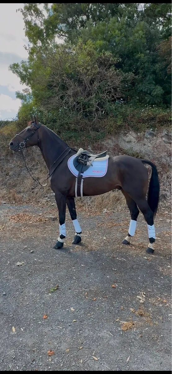⭐️Talented Competition Prospect ⭐️ - Image 2