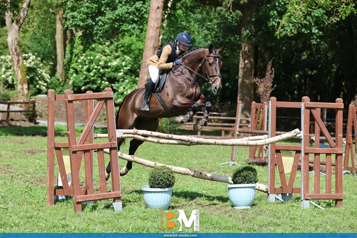 ⭐️Talented Competition Prospect ⭐️ - Image 3