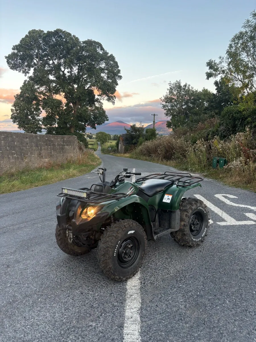 Grizzly 450 (need gone) - Image 1