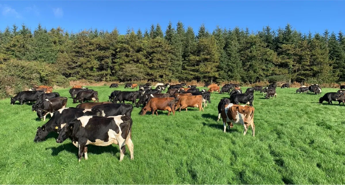 Farm worker required - Image 4