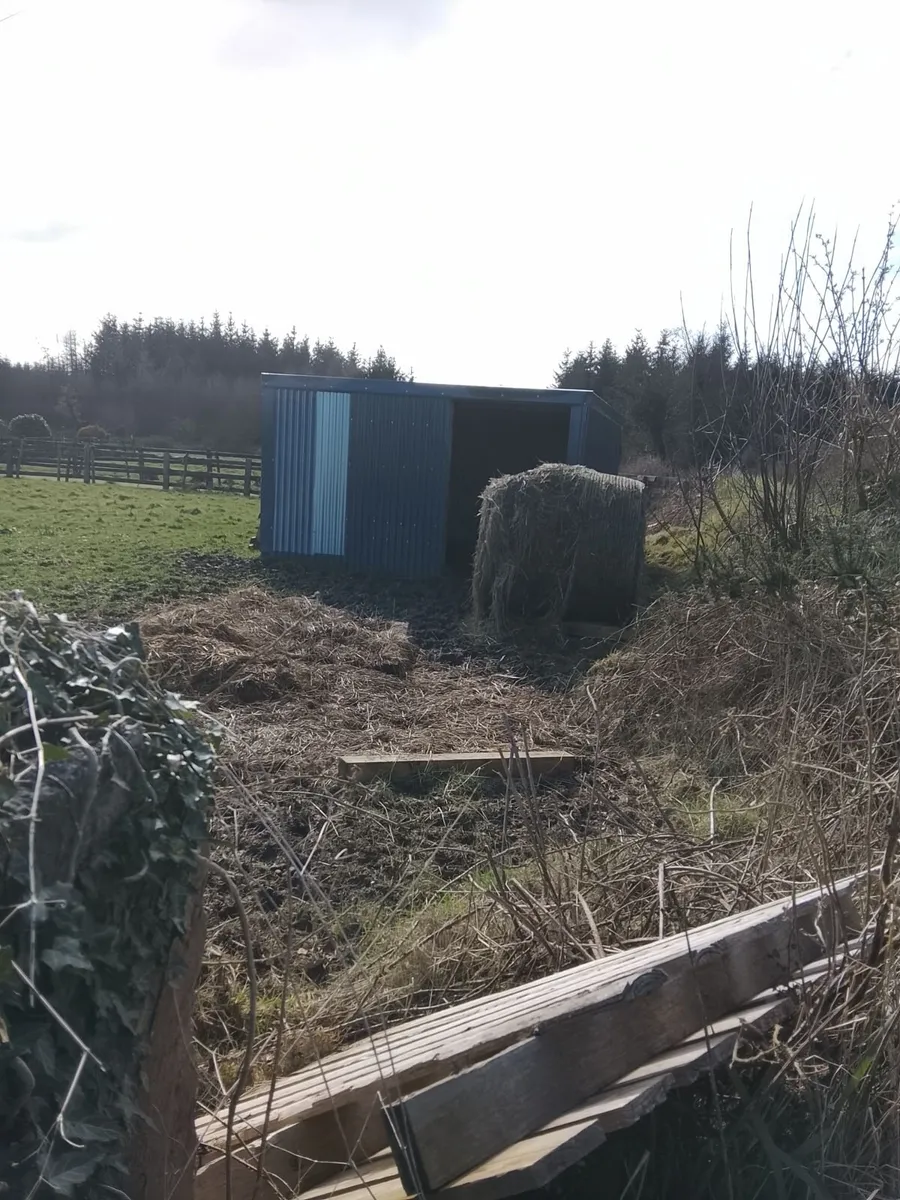 Shed - Image 1