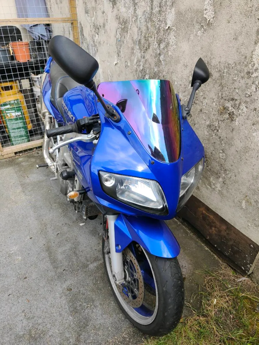 Suzuki SV1000s - Image 2