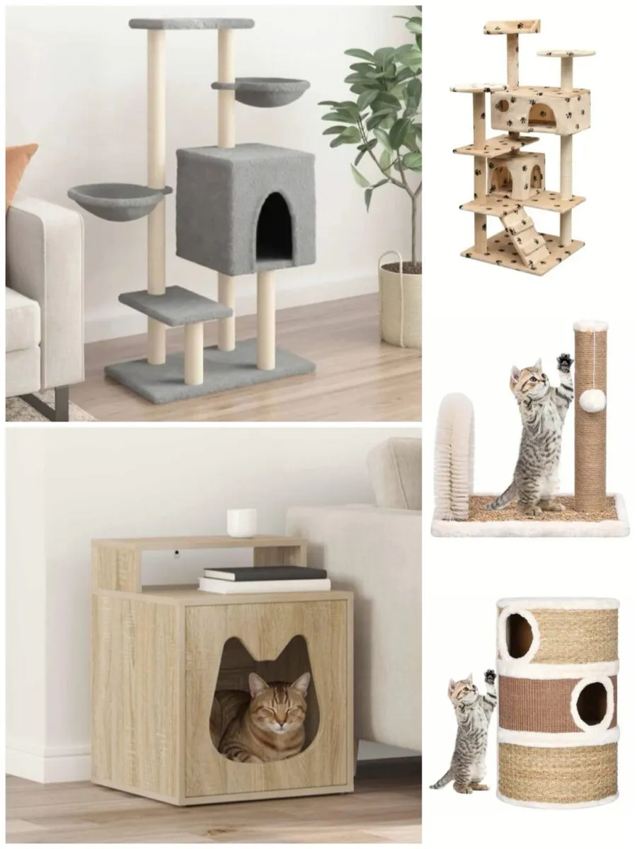 Cat Beds & Scratching Posts