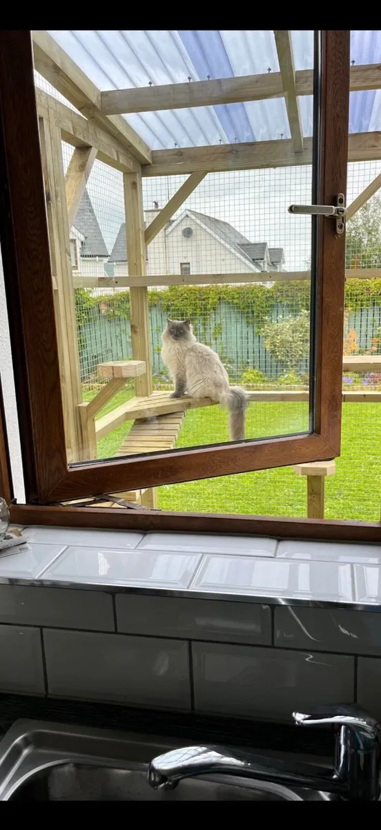 Catio - Image 4