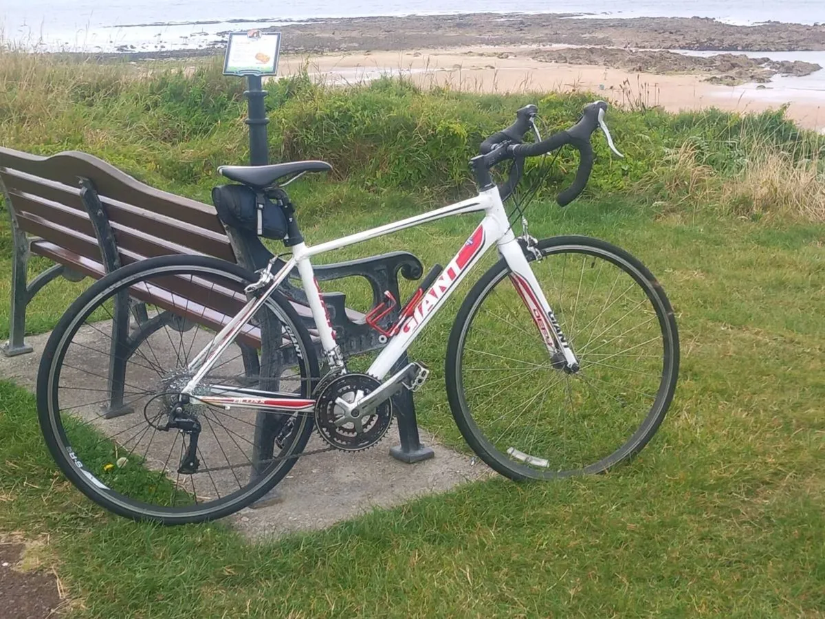 ROAD BIKE - Image 1