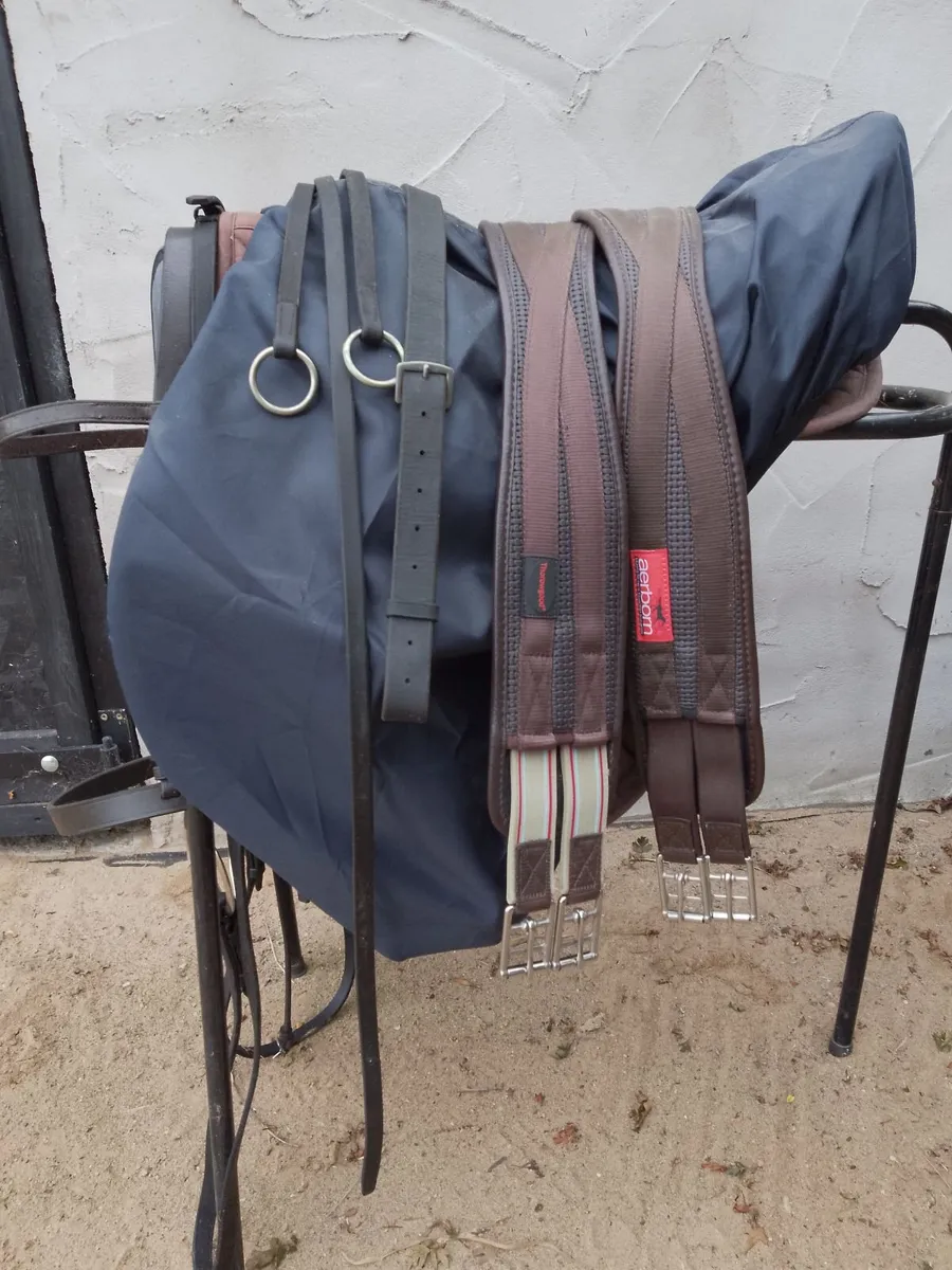 Saddle and Bridle - Image 1