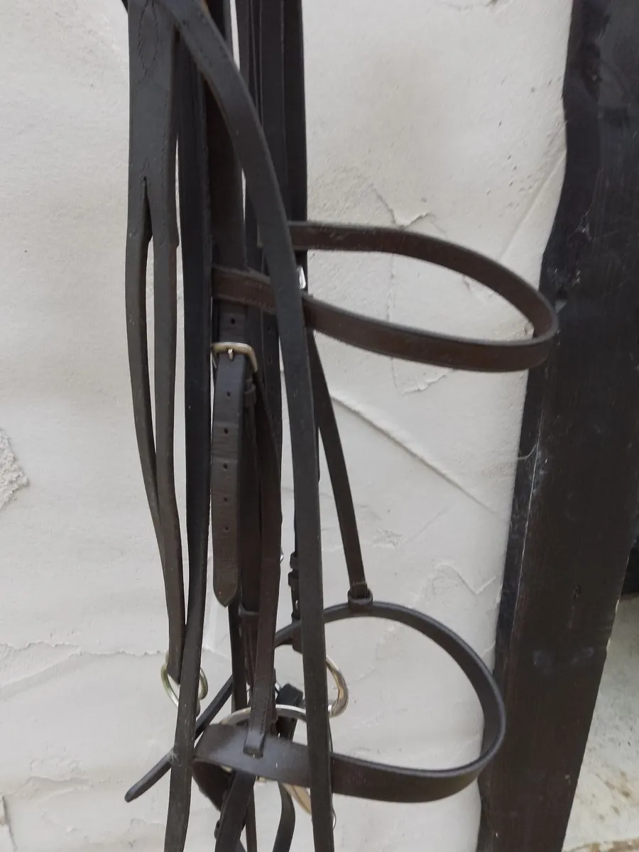 Saddle and Bridle - Image 3
